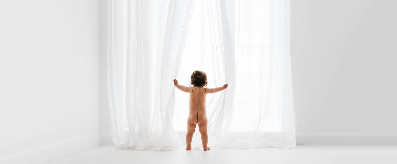 Website-Cover-Photo-Teddy-2(pp_w1600_h663)